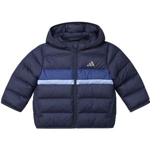 Adidas - Synthetic Down - Jas - Winter - CLIMAWARM