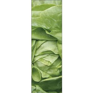PLAGE KITCHEN stickers voor keukens en koelkast-salat-180 x 59,5 cm, vinyl, kleurrijk, 180 x 0,1 x 59,5 cm