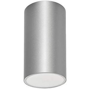 Daisalux Lens N20 plafondlamp, 230 V, 1 h, zilvergrijs