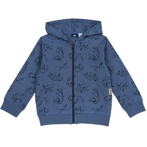 Chicco Sweatshirt met ritssluiting en capuchon voor kinderen en jongeren, Medium Blauw, 5 jaar