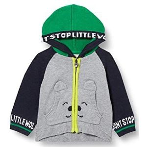 Chicco Gebreid vest met capuchon voor baby's, jongens, Grijs en Groen, 6 Maanden