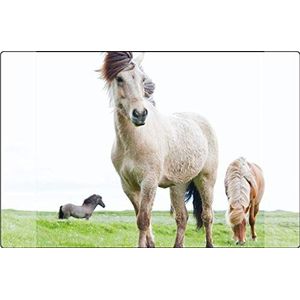 Schrijfonderlegger Kangaro PP 38 x 58 cm paard