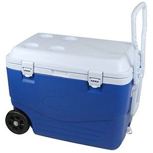 Cao 46 liter koelbox voor volwassenen, uniseks, blauw/wit, 60,5 x 35,5 x 41,5 cm