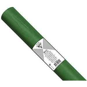 Clairefontaine 394021C zijdepapier (verpakking met 24 vellen, 50 x 75 cm, 18 g/m², ideaal voor decoratie en knutselprojecten) 1 verpakking, groen