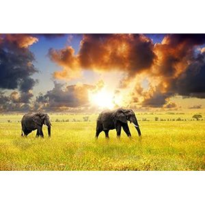 BEELD BEHANG PAPERMOON, Afrikaanse olifanten, VLIES Fotobehang, digitale druk, incl. Klem, verschillende maten