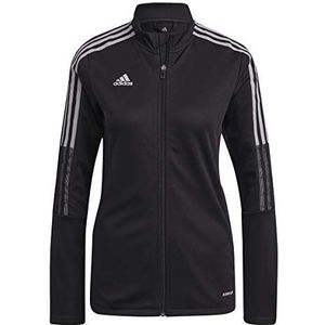 adidas Hemd GN5523 Dames