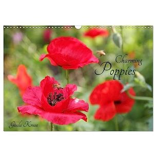 Charming Poppies (Wall Calendar 2024 DIN A3 landscape), CALVENDO 12 Month Wall Calendar: Pure summer joy with radiant red poppies