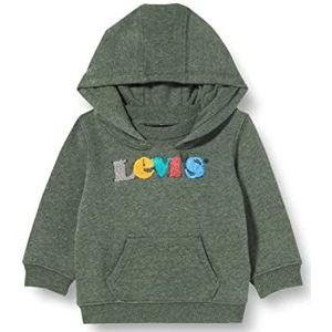 Levi's Kids Logo Full Zip Hoodie Baby Jongens, Tijm Heide, 12 maanden