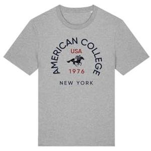 AMERICAN COLLEGE USA Grijs T-shirt voor heren, maat XXL, casual, Grijs, XXL