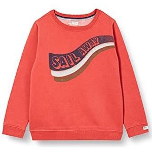 Noppies Kids Jongens B Sweater Ls Baise Pullover, Baked Apple - P790, 98 cm