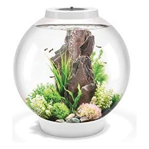 biOrb Classic 60 LED wit - decoratieve aquarium complete set met filtersysteem, ledverlichting en keramische kies van duurzaam acrylglas