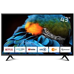 DYON Smart 43 XT 108 cm (43 inch) televisie Full HD Smart TV, HD Triple Tuner (DVB-C/-S2/-T2), Prime Video, Netflix & HbbTV) [modeljaar 2020]