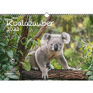 Seelenzauber Koala Magie DIN A3 Kalender Voor 2022