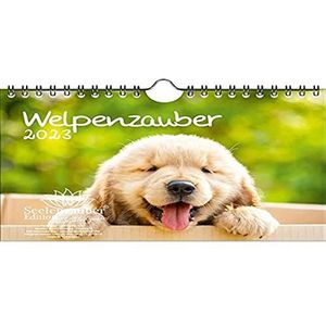 Pupenzauber DIN A5 wandkalender voor 2023 honden puppy's - zielenzauber