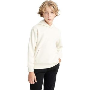 DeFacto Hoodie jongens - jongens trui met capuchon (LT.Stone, 8/9 Y), Lt.stone, 8-9 Jaar