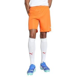 PUMA teamGOAL Korte broek