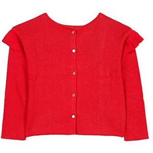 Jean Bourget Rug/DVT ruches pullover voor meisjes - roze - 5 ans