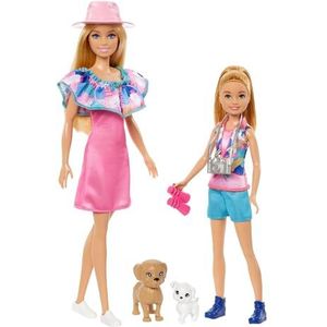 Barbie en Stacie Poppenset met 2 huisdieren en accessoires, poppen met blond haar en blauwe ogen, zomeroutfits, HRM09
