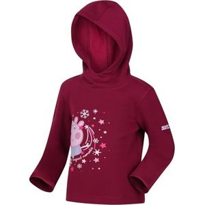 Peppa Graph Hoody