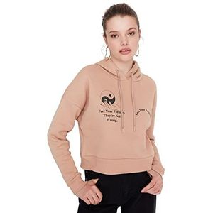 Trendyol TWOAW23SW00728/Camel Sweater, Camel, L, Kameel, L