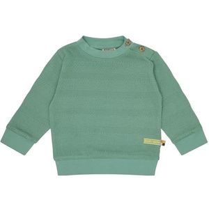 loud + proud Unisex Kids Jacquard Uni, van biologisch katoen, GOTS-gecertificeerd sweatshirt, bamboo, 74-80