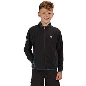 Regatta Kid's Pira Full Zip Extol Stretch Mini Stripe Micro Fleece, Seal Grijs, Maat 3-4
