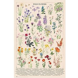 Grupo Erik Botanische wilde bloemen poster - 91 x 61,5 cm - opgerold verzonden - coole posters - kunstposter - posters en prints - muurposters