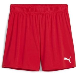 PUMA teamGOAL Handbalshort W