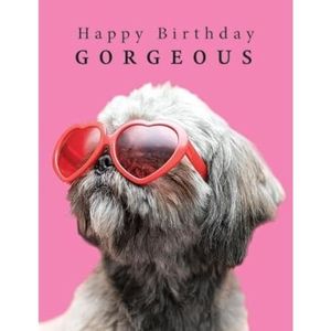 Piccadilly Greetings Gelukkige verjaardag prachtige verjaardagskaart Bril hond - 8 x 6 inch