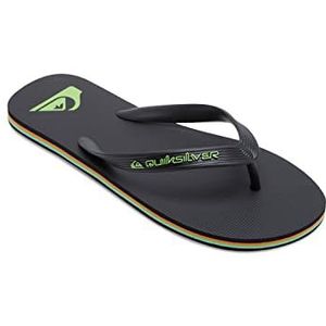 Quiksilver Molokai Core - Teenslippers voor Heren, houtskool, 40 EU