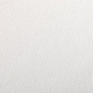 Clairefontaine 37900C tekenpapier à grain (160 g, korrelig, ideaal voor droogtechnieken, 250 vellen, 50 x 65 cm) wit