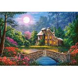 Cottage in the Moon Garden Puzzel (1000 stukjes) - Castorland