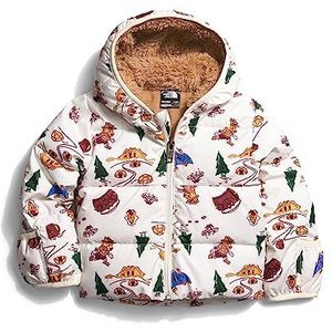 THE NORTH FACE North Geïsoleerde jas Gardenia White Tnfntrcp 6M