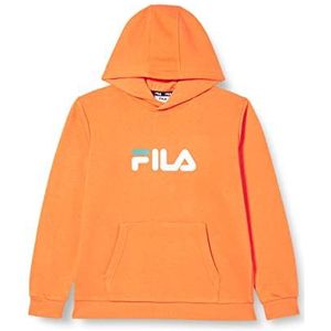 FILA Unisex kinderen Sande Classic Logo Hoodie, Celosia Orange, 158-164