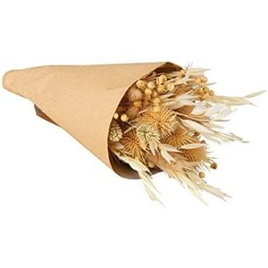 Rayher Droogbloemen boeket met papiermannet, natuur, 28cm, 85490505