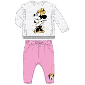 Disney 2-delige set van sweatshirt + broek voor baby's (3 tot 23 maanden), Minnie zacht en warm: sweatshirt + jogger, gemengd patroon, voor meisjes en jongens, model DIS MF 5112B592-S2-18M