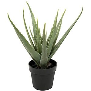 Greenbrokers Limited Kunstmatige Zachte Aloë Vera Sappige Plant in Zwarte Pot 61cm, Groen