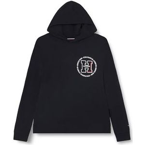 Tommy Hilfiger Heren BT-HILFIGER H ROUNDEL HOODY-B Desert Sky XXL, woestijn hemel, XXL grote maten