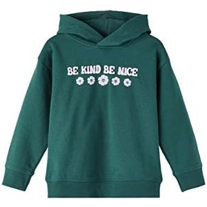 NAME IT Nmfsilke Sweat Bru Sweatshirt voor meisjes, Sea Moss, 98 cm