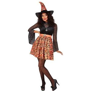 Vintage Witch Costume, Orange, Dress & Hat, (L)