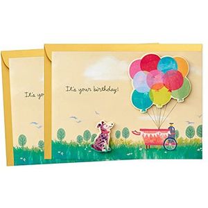 Hallmark Paper Wonder Pack van 2 Pop-up verjaardagskaarten (Get Carried Away)