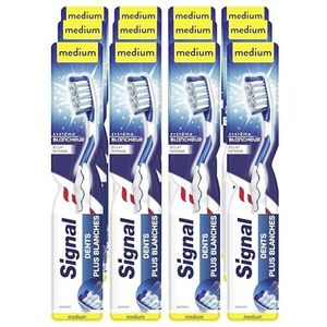 Signal - Systeem Blancheur - Tandenborstel - Medium - Lot van 12 brossen