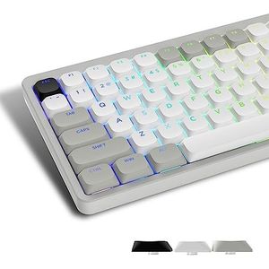 Womier Laag profiel keycaps, shine through keycaps, aangepast toetsenbord Key caps 60 65 75 100 procent, PBT Full Size voor Cherry Gateron MX Switches mechanisch toetsenbord, grijs/wit