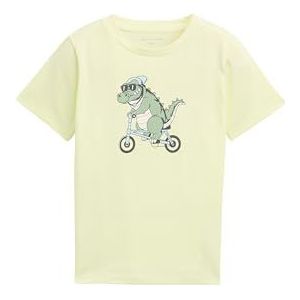 TOM TAILOR T-shirt voor jongens, 29078 - Lime Cream Green, 128-134