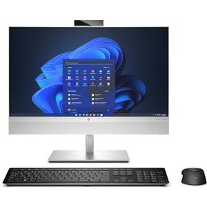 ELITEONE 800 I5-12600 256 GB 8 GB 23,8 IN NOED W10P