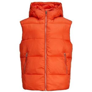 JACK & JONES Dames Jxbillie Puffer Vest OTW Sn Vest, Poinciana, S