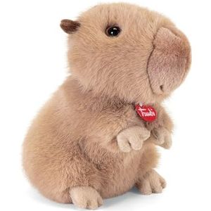Capibara Pluche pluche knuffel kopen? - Teddybeer