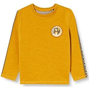 Noppies Baby Baby-jongens B Tee Ls Riverdale T-shirt, Chai Tea - P786, 62 cm