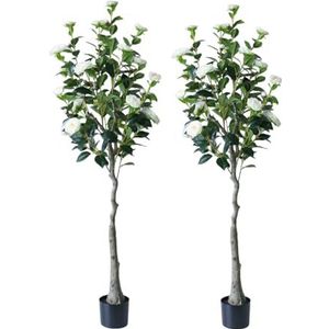 Zstar 150 cm kunstmatige cameliaboom, 2 stuks grote kunstcameliaplanten in pot met bloemen voor binnendecoratie, grote realistische planten, cameliaboom decoratie voor thuis, woonkamer, kantoor, tuin