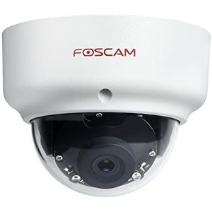 Foscam D2EP PoE IP-camera voor buiten, HD, 2 MP, infrarood, 20 m, vandaalbeveiliging, IK10, intelligente menselijke herkenning, compatibel met Amazon Alexa